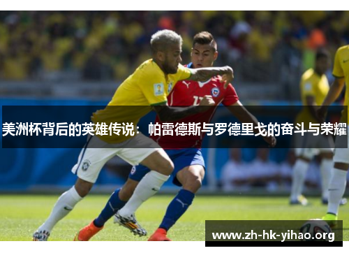 美洲杯背后的英雄传说：帕雷德斯与罗德里戈的奋斗与荣耀