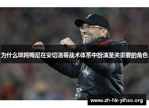 为什么琼阿梅尼在安切洛蒂战术体系中扮演至关重要的角色