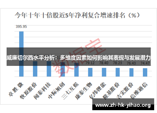 威廉切尔西水平分析：多维度因素如何影响其表现与发展潜力