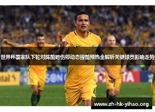 世界杯国家队下轮对阵前瞻伤停动态提前预热全解析关键球员影响走势